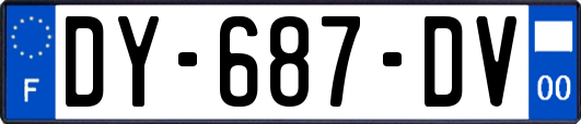 DY-687-DV