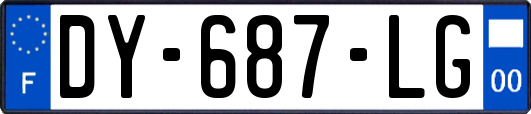DY-687-LG