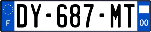 DY-687-MT