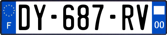 DY-687-RV