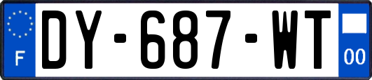 DY-687-WT