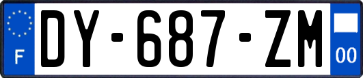 DY-687-ZM