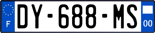 DY-688-MS