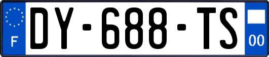 DY-688-TS