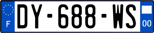 DY-688-WS