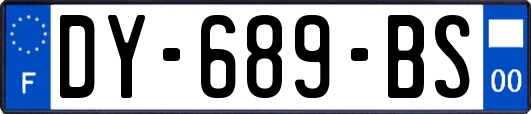 DY-689-BS