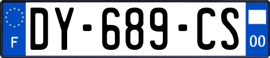 DY-689-CS
