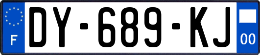 DY-689-KJ