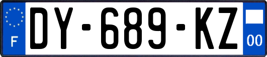 DY-689-KZ