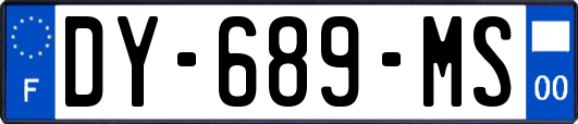 DY-689-MS