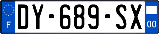 DY-689-SX