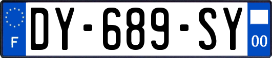 DY-689-SY