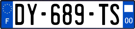 DY-689-TS