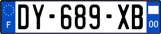 DY-689-XB