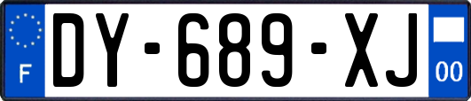 DY-689-XJ