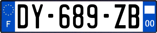 DY-689-ZB