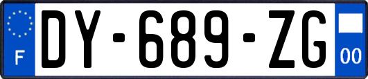 DY-689-ZG