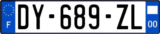 DY-689-ZL