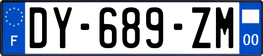 DY-689-ZM