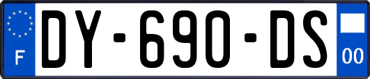 DY-690-DS