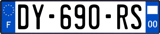 DY-690-RS