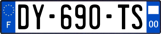 DY-690-TS