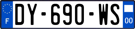 DY-690-WS