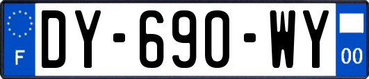 DY-690-WY