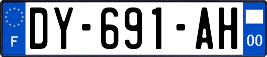 DY-691-AH