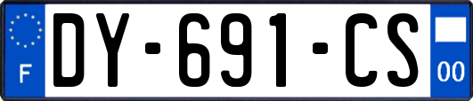 DY-691-CS