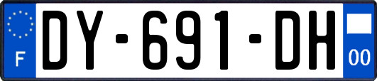 DY-691-DH