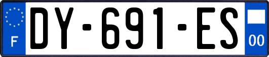 DY-691-ES