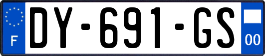 DY-691-GS