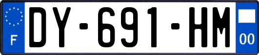 DY-691-HM