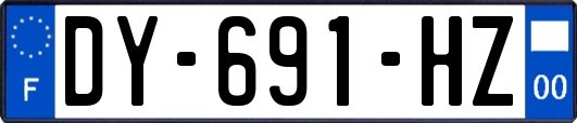 DY-691-HZ