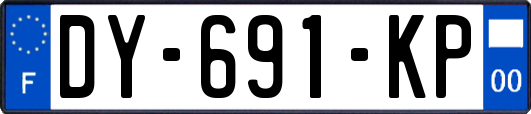 DY-691-KP