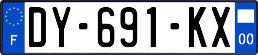 DY-691-KX