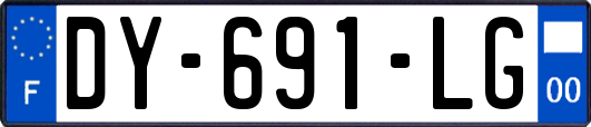 DY-691-LG