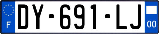 DY-691-LJ