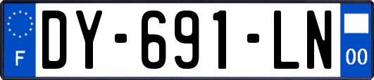DY-691-LN