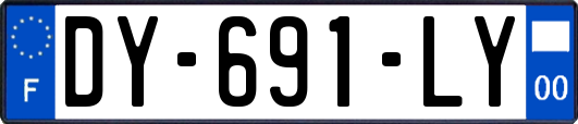 DY-691-LY