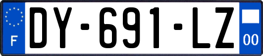 DY-691-LZ