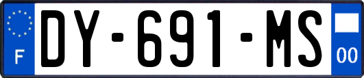 DY-691-MS