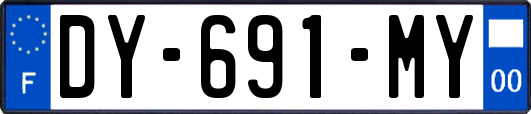 DY-691-MY