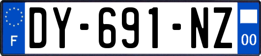 DY-691-NZ