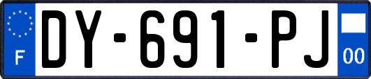 DY-691-PJ