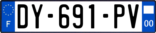 DY-691-PV