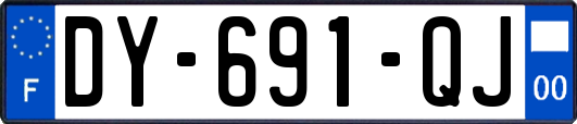 DY-691-QJ