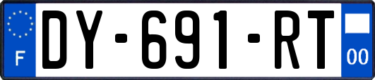 DY-691-RT