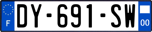 DY-691-SW